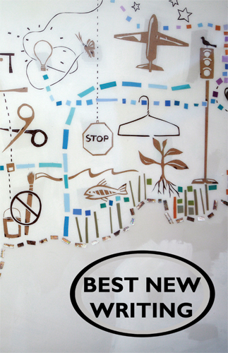 Best New Writing 2013