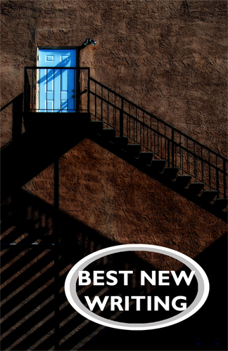 Best New Writing 2015